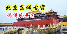 狠狠干BB视频中国北京-东城古宫旅游风景区